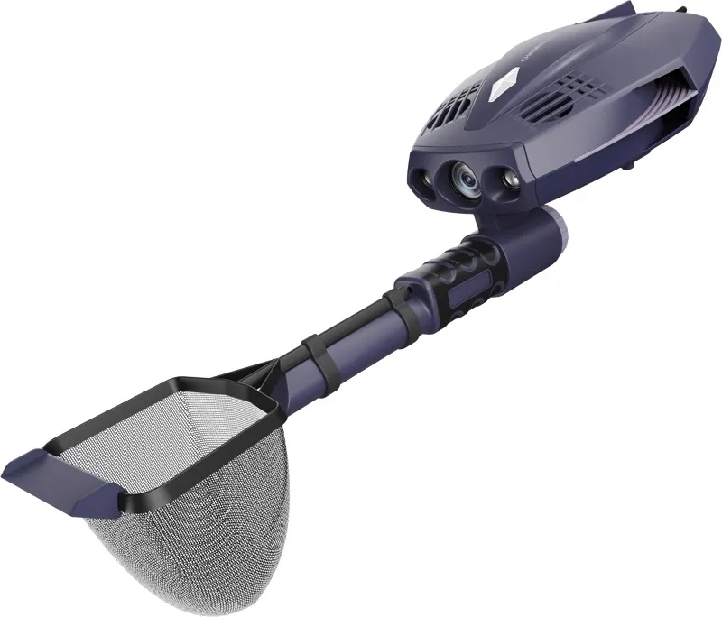 chasing-dory-explore-deep-purple