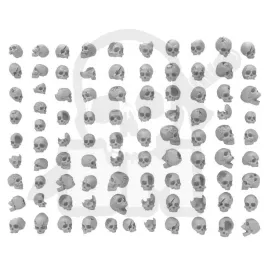 3d-printed-set-resin-skulls-czaszki-85-szt