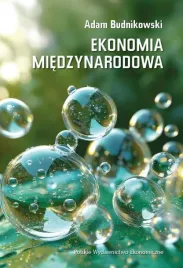 ekonomia-miedzynarodowa-w-6-adam-budnikowski