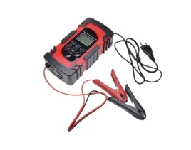 ladowarka-akumulatorow-12v-24v