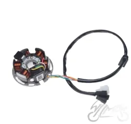 stator-iskrownik-6-cewek-do-derbi-senda-2008
