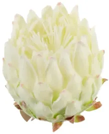 karczoch-kremowy-9-cm-glowka-wyrobowa-sztuczny-kwiaty-do-stroikow-ecru-krem