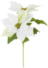 bukiet-biala-gwiazda-betlejemska-poinsecja-na-lodydze-2-kwiaty-liscie-33-cm