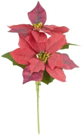 bukiet-czerwona-gwiazda-betlejemska-poinsecja-lodyga-2-kwiaty-liscie-33-cm