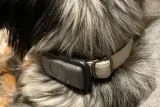 gps-tracker-dla-psa-model-gps-tracker-dog