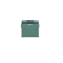 lodowka-termoelektryczna-igloo-ie42-42-l-12-v-230-v-delta-20c