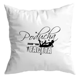 poduszka-zabawny-prezent-na-dzien-chlopaka-poducha-zaje-stego-faceta