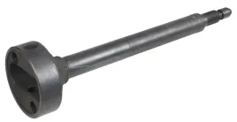 trzpien-stopy-ubijajacej-cedrus-stopa-st01-070562