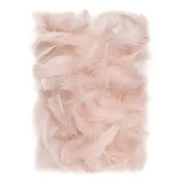 dalprint-dpcraft-piorka-nude-5-12-cm-10-g-dekoracyjne-selekcjonowane