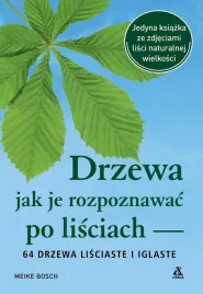drzewa-jak-je-rozpoznawac-po-lisciach-ksiazka-poradnik
