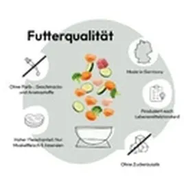 grau-sanofor-1kg-naturalny-suplement-dla-kotow-wspierajacy-trawienie