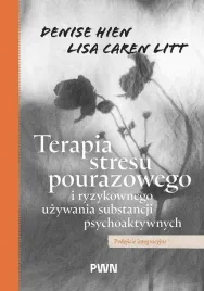 terapia-stresu-pourazowego-i-ryzykownego