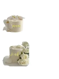shein-napis-na-tort-7w4-sc1