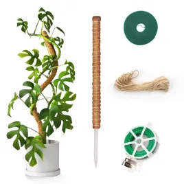 drazek-kinglake-120cm-kije-kokosowe-wsparcie-dla-roslin-pnacych-monstera