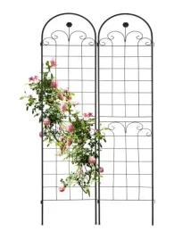 pergola-metalowa-na-kwiaty-pnace-drabinka-relaxdays-krata-180-cm