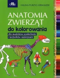 anatomia-zwierzat-do-kolorowania