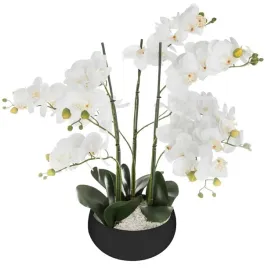 sztuczna-orchidea-z-czarna-doniczka-65cm