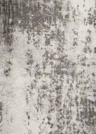 dywan-lyon-gray-160x230-carpet-decor-magic-home
