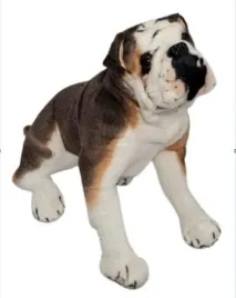 pluszak-pies-buldog