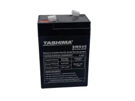 akumulator-agm-do-latarek-greenstar-sw645-6-v-45-ah