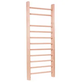 drabinka-master-250-x-90-cm-lakierowana