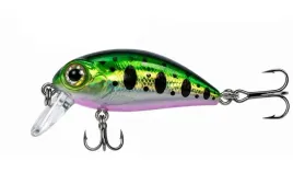 jaxon-wobler-atract-aris-4cm-r