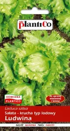 nasiona-salata-lodowa-glowiasta-krucha-ludwina-1g-plantico-404410