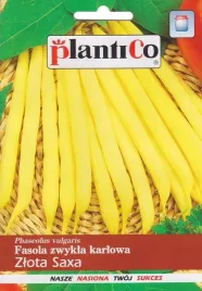 nasiona-fasola-szparagowa-karlowata-zlota-saxa-48g-plantico-zolta-407657