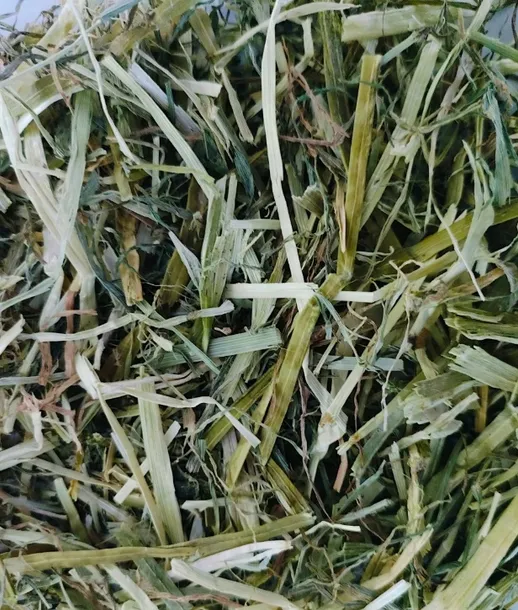 Sieczka z lucerny dla koni Alfalfa (Medicago Sativa) (20kg) WIŚTA WIO