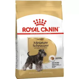 royal-mini-schnauzer-3kg