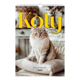 kalendarz-2023-scienny-a3-koty-kotki