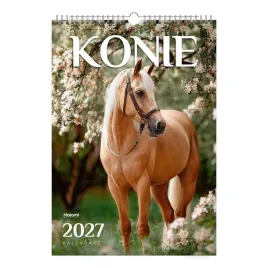 kalendarz-2023-scienny-a3-konie