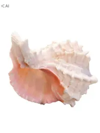 shein-dekoracyjna-muszla-ozdoba-s07-5x10cm