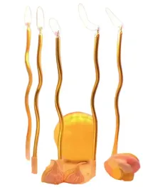 shein-zlote-swiece-4-pack-s07