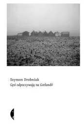 gesi-odpoczywaja-na-gotlandii-ksiazka-jakosc