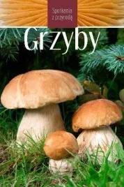 grzyby-spotkania-z-przyroda-ksiazka-jakosc