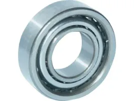 lozysko-zwrotnicy-25x47x12-mm-ina-fag-b7005ctp4sum