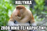 maska-nosacz-polski-stan-nowy