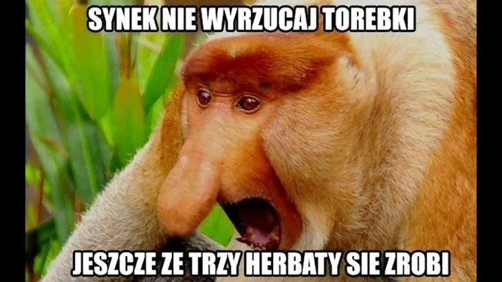 maska-nosacz-polski-stan-nowy