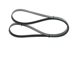 bosch-1-987-946-029-pasek-klinowy-wielorowkowy