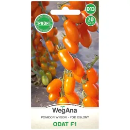 pomidor-odat-f1-20-nasion-wegana