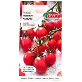 pomidor-malinowy-kapturek-nasiona-01g-torseed