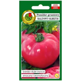 pomidor-malinowy-olbrzym-nasiona-1g-pnos