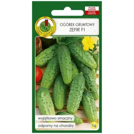 ogorek-zefir-nasiona-5g-pnos