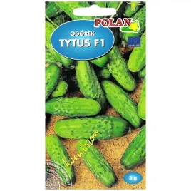 ogorek-tytus-f1-nasiona-3g-polan