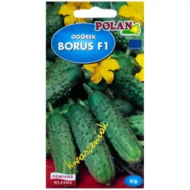 ogorek-borus-f1-nasiona-5g-polan