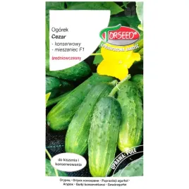 ogorek-cezar-f1-nasiona-3g-torseed