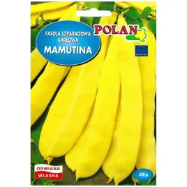 fasola-szparagowa-mamutina-nasiona-50g-polan