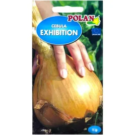 cebula-exhibition-nasiona-1g-polan