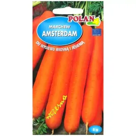 marchew-amsterdam-nasiona-5g-polan
